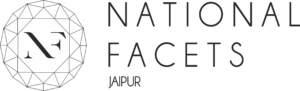 National facets Logo PNG